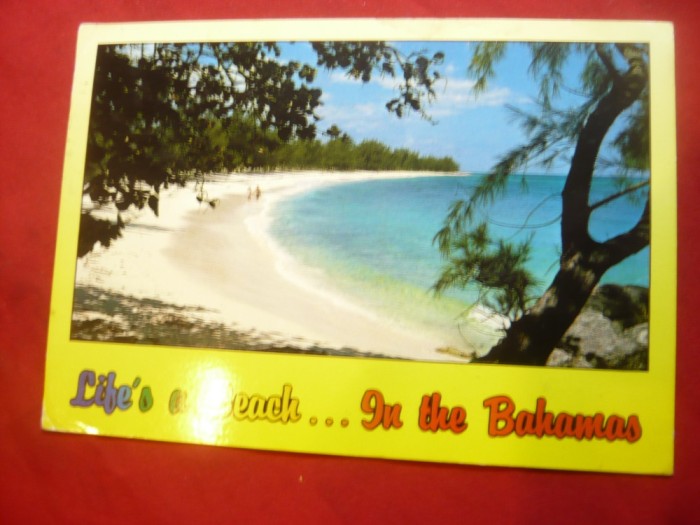 Ilustrata circulata Bahamas ,timbru de 40C - Pasare