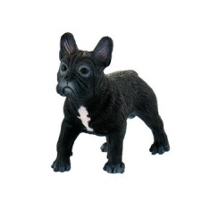 Cauti Bulldog Francez Cu Pedigree Vezi Oferta Pe Okaziiro