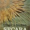 AS - GASPAR I., REICHBUCH - SECARA