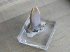 Specimen minerale - CUART, CALCITA SI CALCOPIRITA (T3), Naturala