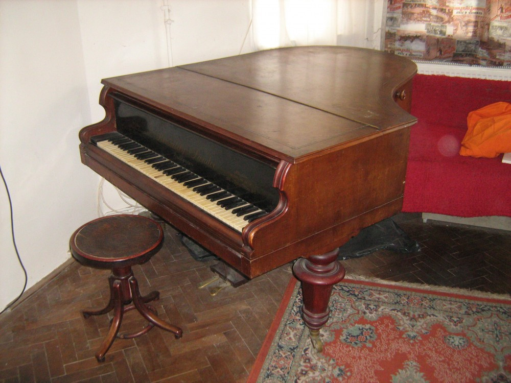 Vand pian cu coada scurta | arhiva Okazii.ro