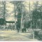 3073 - DETTA, Timis, Park, Romania - old postcard - used - 1910