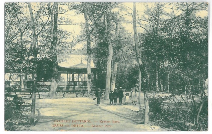 3073 - DETTA, Timis, Park, Romania - old postcard - used - 1910