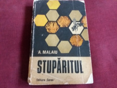 A MALAIU - STUPARITUL foto