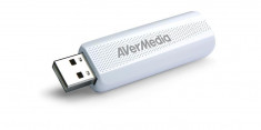 AverMedia AVerTV TD310 foto