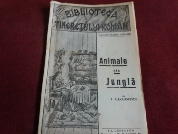 E ALEXANDRESU - ANIMALE DIN JUNGLA INTERBELICA