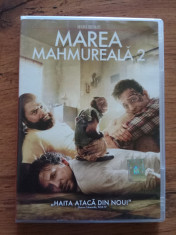 Marea Mahmureala 2 / The Hangover 2 , DVD subtitrat in romana foto