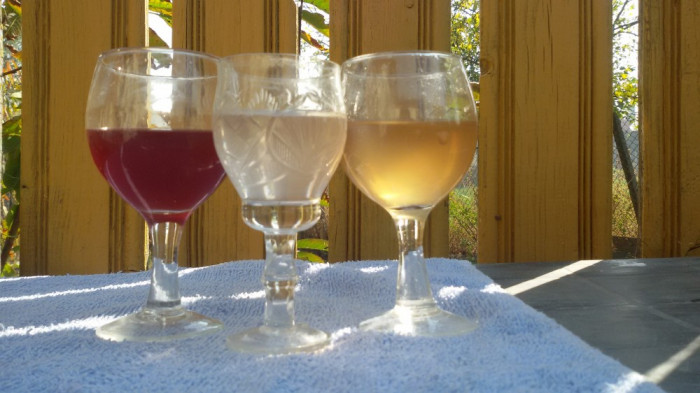 Vin&amp;ţuică