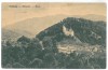 243 - BRAN, Brasov, Dracula Tower, Romania - old postcard - used - 1911, Circulata, Printata