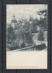 SINAIA CASTELUL REGAL PELES CLASICA UPU foto