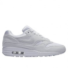 Pantofi Femei Nike Wmns Air Max 1 319986108 foto