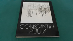 ALBUM CONSTANTIN PILIU?A*PEISAJELE AMINTIRII/1983 foto