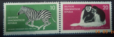 GERMANIA (DDR) 1961 &amp;ndash; GRADINA ZOOLOGICA DIN DRESDA , SERIE MNH , DF4 foto