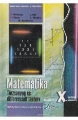 Matematica. Lb. maghiara TC+CD - Clasa 10 - Manual - C. Nastasescu, C. Nita, I. Chitescu foto