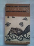 (C389) GOFFREDO PARISE - BAIATUL MORT SI COMETELE / ABECEDAR PARTEA INTAI