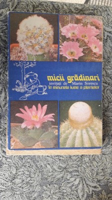 Micii gradinari invitati de Marin Sorescu in minunata lume a plantelor foto