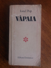 Vapaia - Ionel Pop (vanatoare) / R3P2S foto