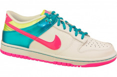 Pantofi sport Nike Dunk Low GS 309601-103 pentru Copii foto