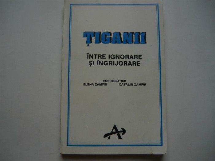 Tiganii intre ignorare si ingrijorare - Elena Zamfir, Catalin Zamfir