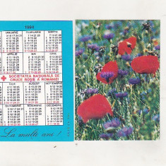 bnk cld Calendar de buzunar 1994 - Crucea Rosie