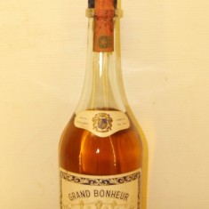 raritate, brandy grand bonheur, acquavite di vini piemontesi cl 75 gr 40 ani 70