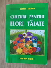 CULTURI PENTRU FLORI TAIATE- ELENA SELARU foto