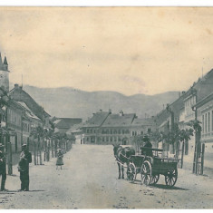 1957 - CISNADIE, Sibiu, Romania - old postcard - used - 1911