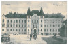 4317 - LUGOJ, Timis, BIKE, Romania - old postcard - used - 1915, Circulata, Printata