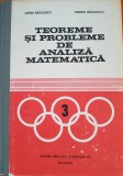 TEOREME SI PROBLEME DE ANALIZA MATEMATICA - Radulescu