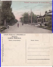 Focsani ( Vrancea ) - Aleea principala din Gradina publica - rara foto