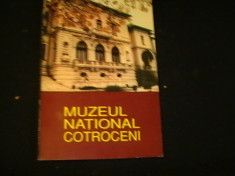 MUZEUL NATIONAL COTROCENI-ION OPRIS-176 PG- foto