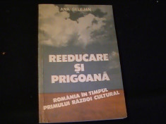 REEDUCARE SI PRIGOANA-ANA SELEJAN-VOL-II-244 PG- foto