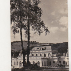 bnk cp Vatra Dornei - Sanatoriul balnear - circulata