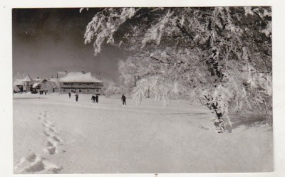 bnk cp Muntele Semenic - Peisaj de iarna - circulata foto