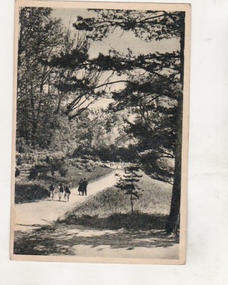 bnk cp Bucuresti - Gradina botanica - circulata foto