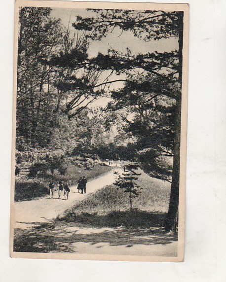 bnk cp Bucuresti - Gradina botanica - circulata