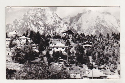 bnk cp Busteni - Vedere spre muntii Bucegi- circulata foto