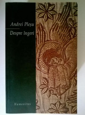 Andrei Plesu - Despre ingeri foto