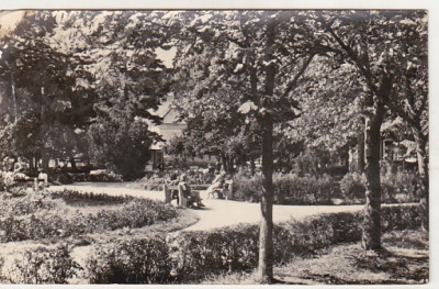 bnk cp Oradea - Baile Victoria - Vedere din parc - circulata foto