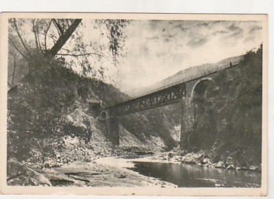bnk cp Viaduct pe Valea Jiului - Vedere - circulata foto