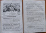 Revista Din Moldova , redactor Petriceicu Hasdeu , Iasi , 1862 , an 1 , nr. 3