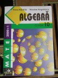myh 35s - P Nachila - N Angelescu - Culegere matematica algebra clasa 10 - 2001