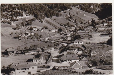 bnk cp Dambovicioara - Vedere - circulata foto