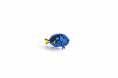 Figurina Peste Exotic - Blue Tang - VV25126 foto