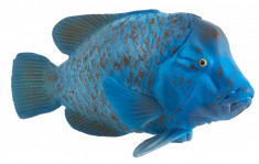 Figurina Peste - Blue groper - VV25130 foto