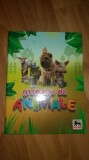 Myh 16 - Album educativ cu cartonase pentru copii - Gradinita de animale