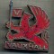 03 EMBLEMA VECHE AUTO PENTRU COLECTIONARI - AUTOTURISM ,,VAUXHALL&quot;- METALICA