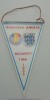 D9 61 - fanion - sport - fobal - echipa nationala - Romania - Anglia - 1 mai 1985