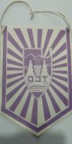D9 28 - fanion - turism - OJT Covasna - Hotel Covasna