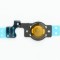 Flex buton iPhone 5c